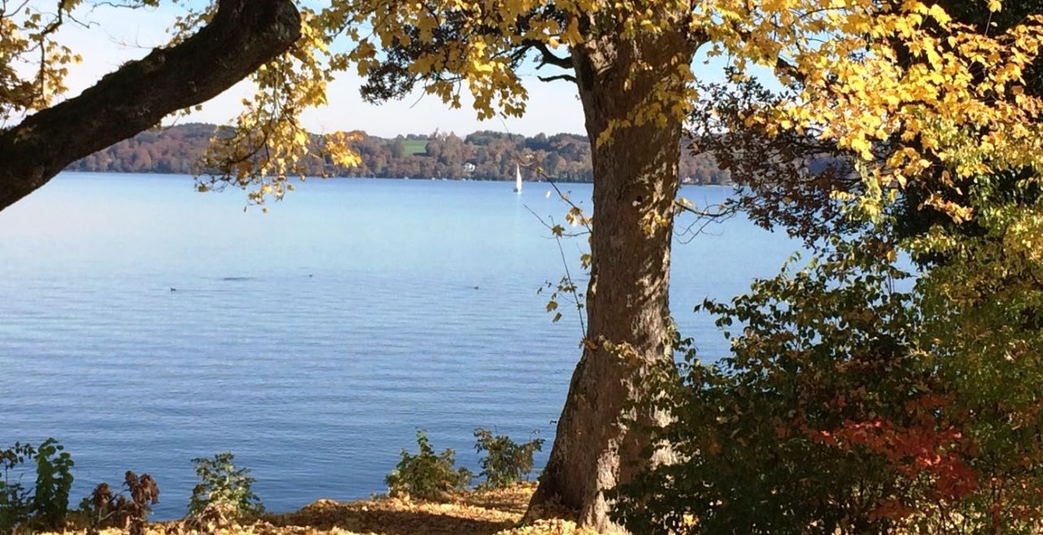 Durch einen Wechsel können vermutlich auch Sie, bei besserem Versicherungsschutz, Prämien sparen!