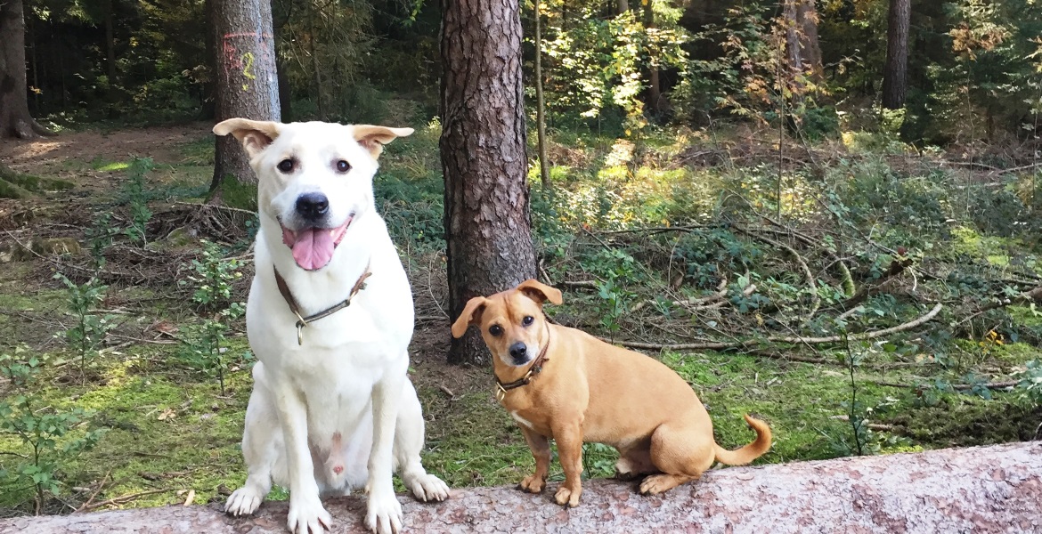 Es ist ein Himmel weiter Unterschied, wo man sein Geld anlegt.